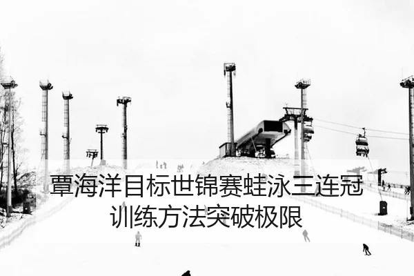 tan-hai-yang-mu-biao-shi-jin-sai-wa-yong-san-lian-guan-xun-lian-fang-fa-tu-po-ji-xian-2-141.jpg